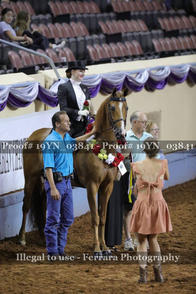 Proof 19YN_03841