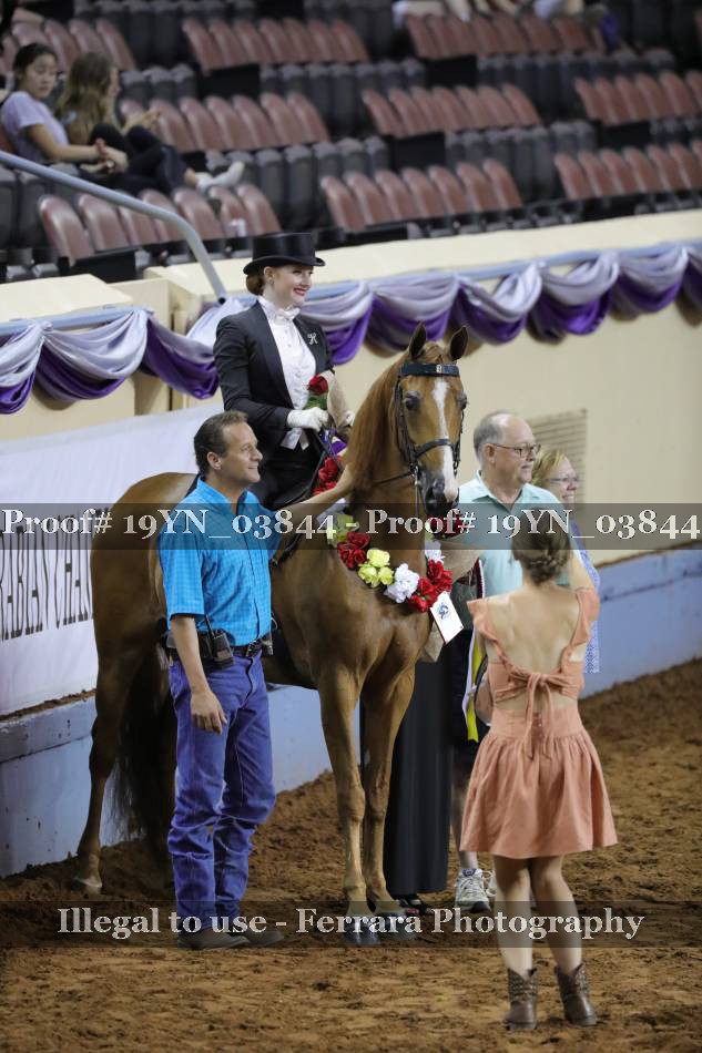 Proof 19YN_03844