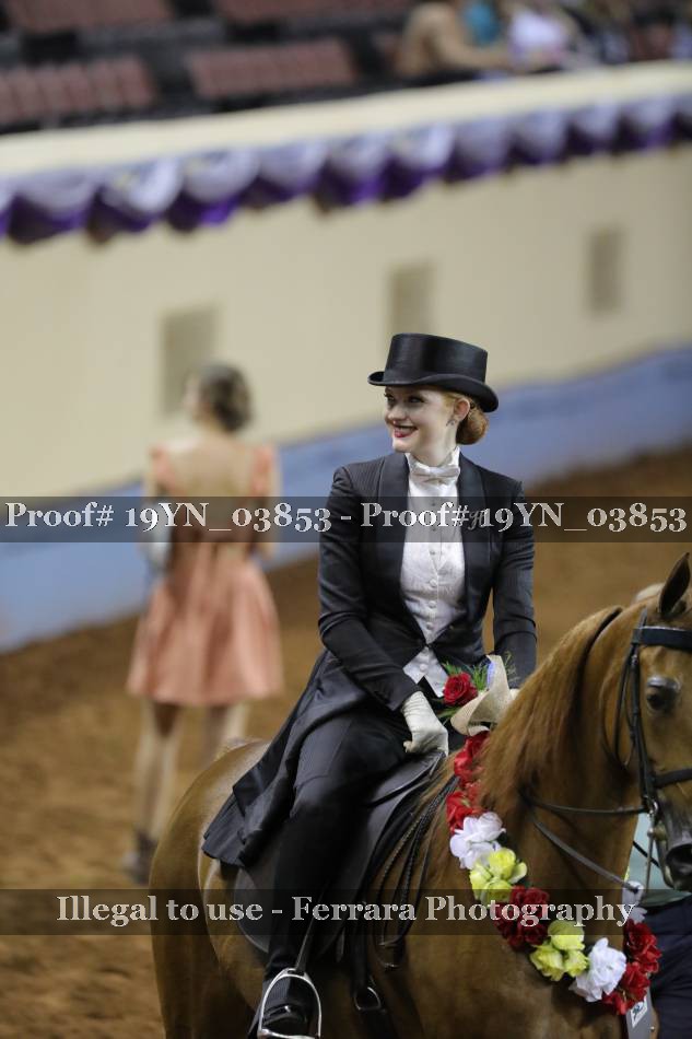 Proof 19YN_03853