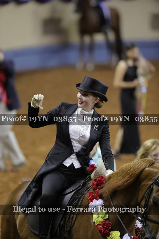 Proof 19YN_03855