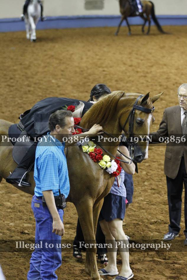 Proof 19YN_03856