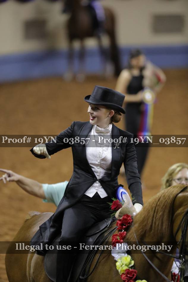 Proof 19YN_03857