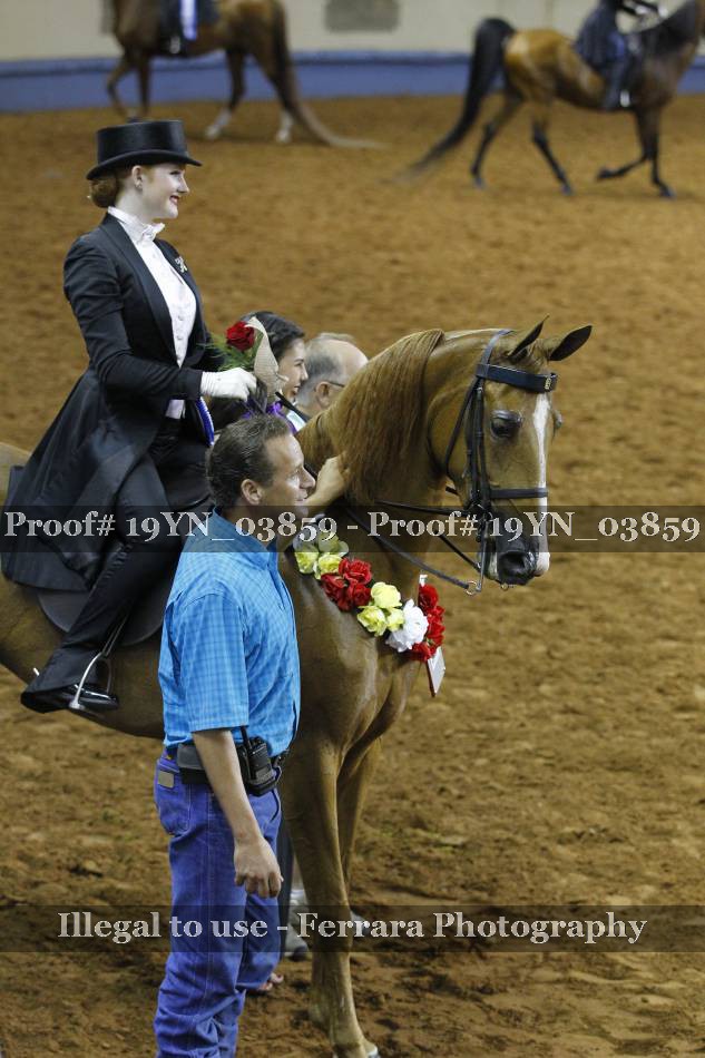 Proof 19YN_03859