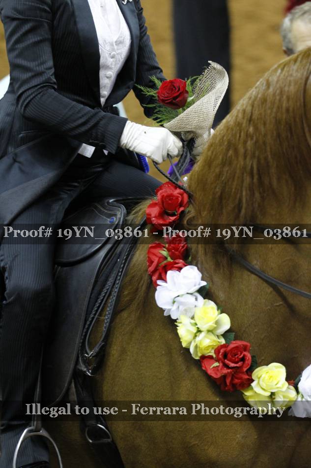 Proof 19YN_03861