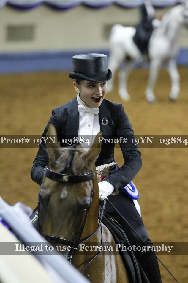 Proof 19YN_03884