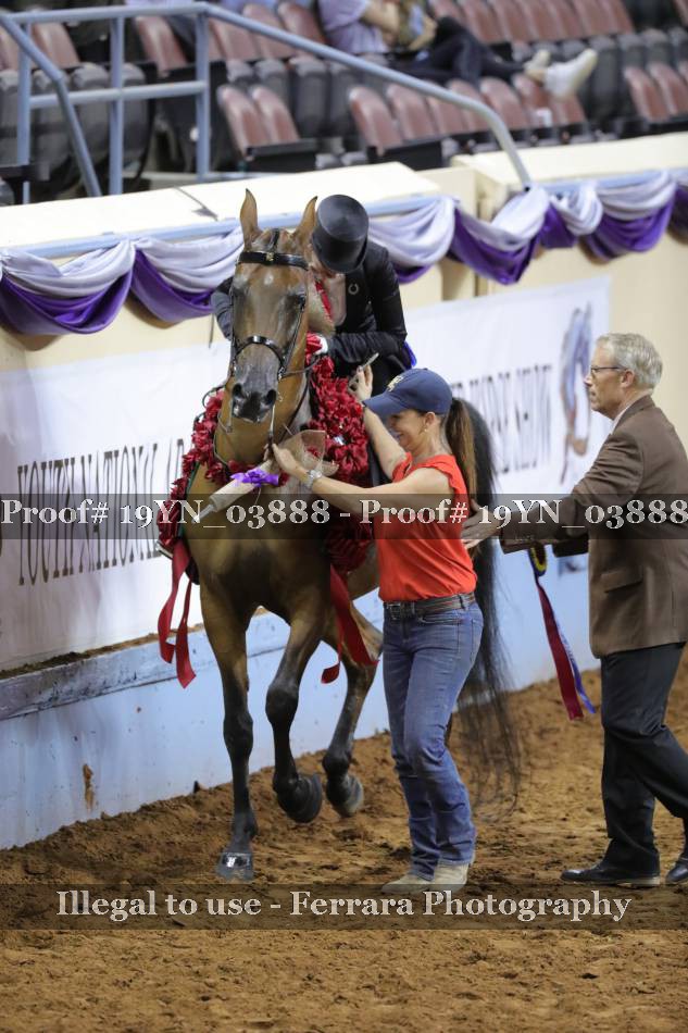 Proof 19YN_03888