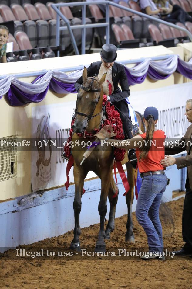 Proof 19YN_03890