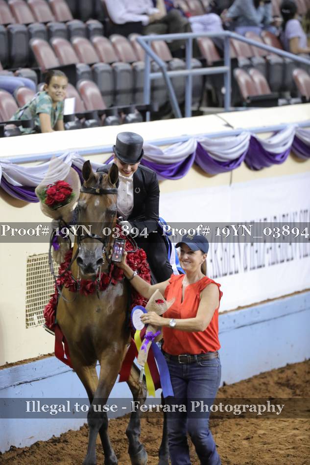 Proof 19YN_03894