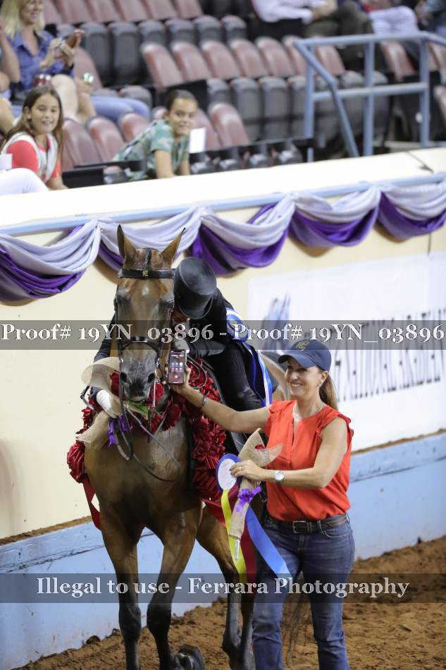 Proof 19YN_03896
