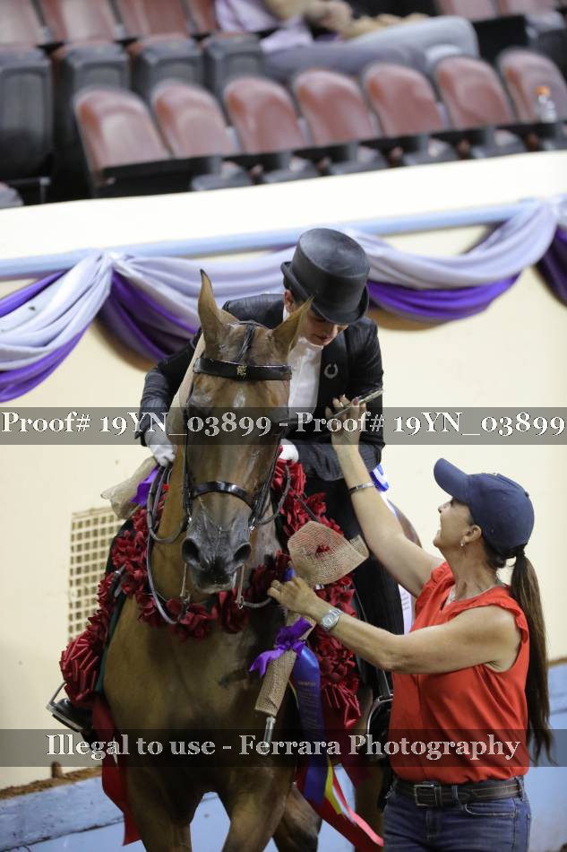 Proof 19YN_03899