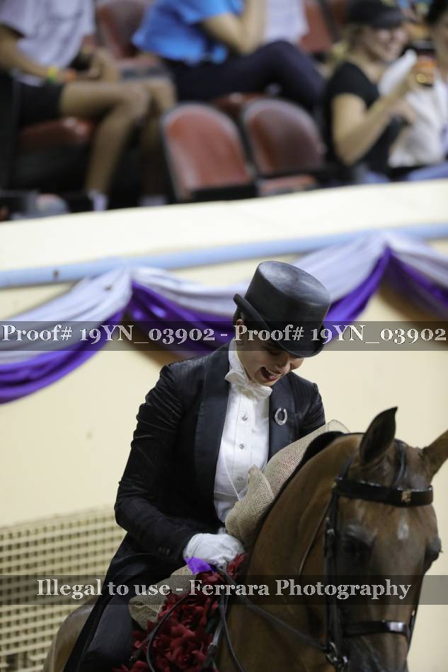 Proof 19YN_03902