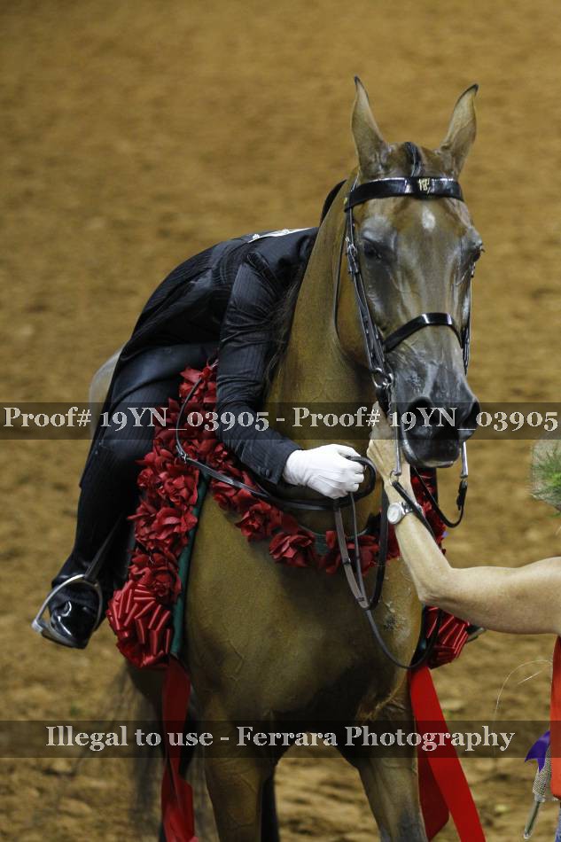 Proof 19YN_03905