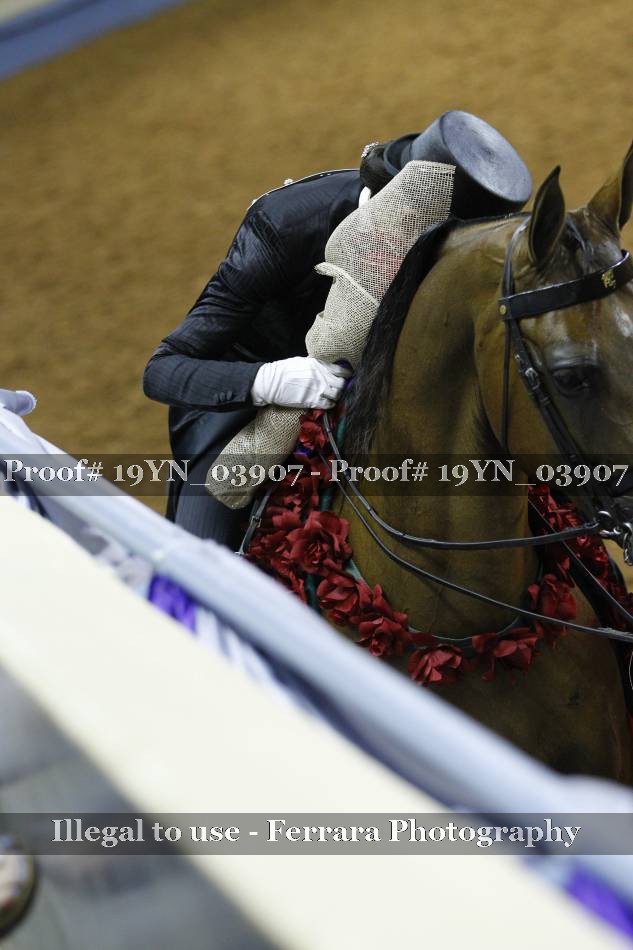 Proof 19YN_03907