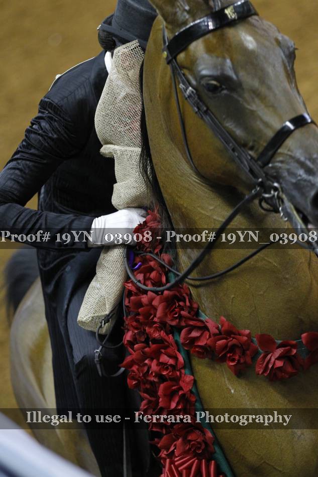 Proof 19YN_03908