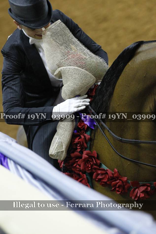 Proof 19YN_03909