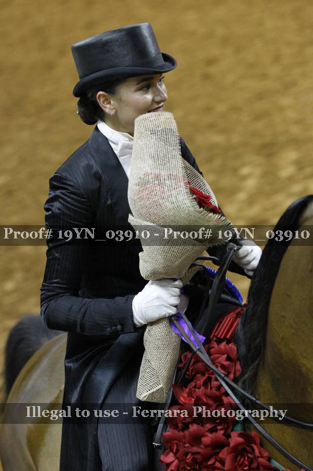 Proof 19YN_03910