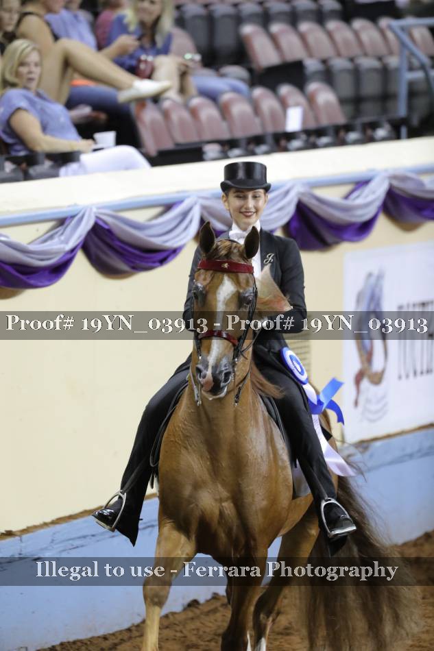 Proof 19YN_03913