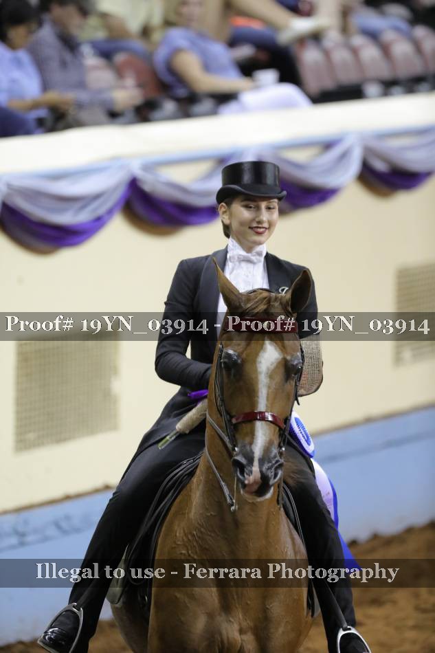 Proof 19YN_03914