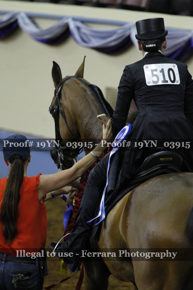 Proof 19YN_03915