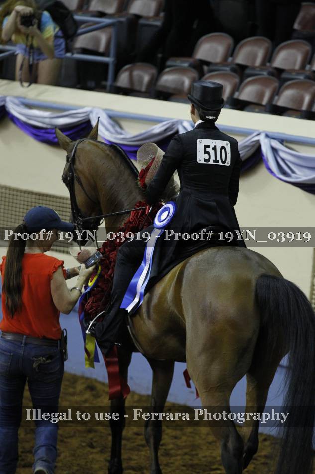 Proof 19YN_03919