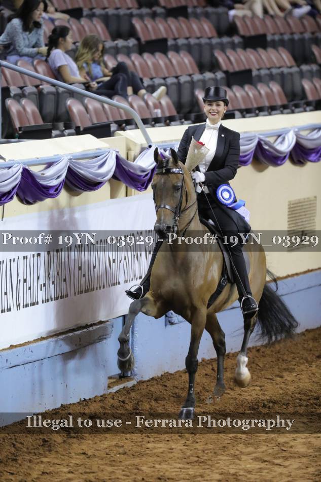 Proof 19YN_03929