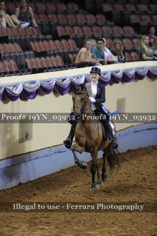 Proof 19YN_03932