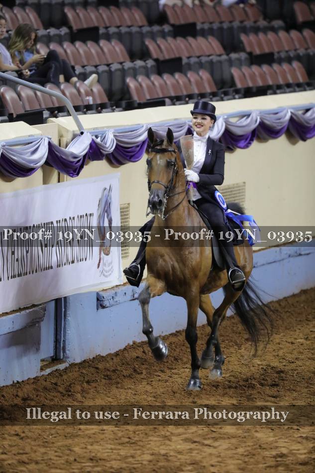 Proof 19YN_03935