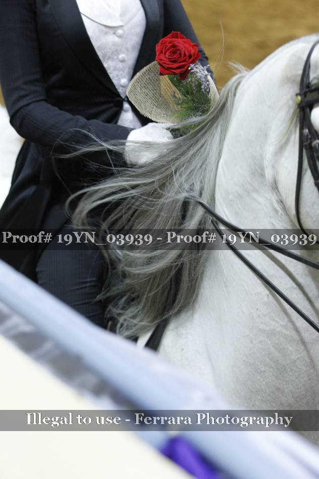 Proof 19YN_03939