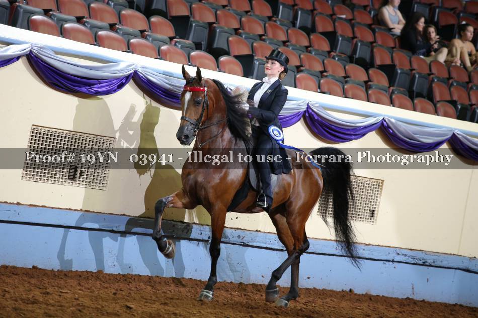 Proof 19YN_03941
