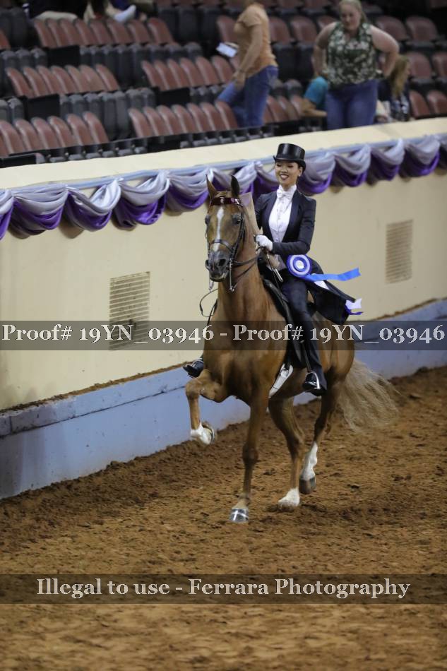 Proof 19YN_03946