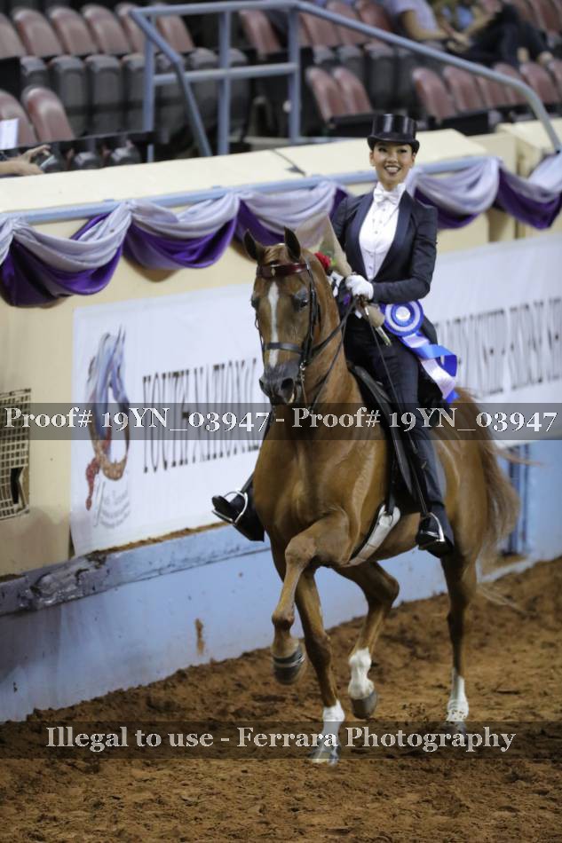 Proof 19YN_03947