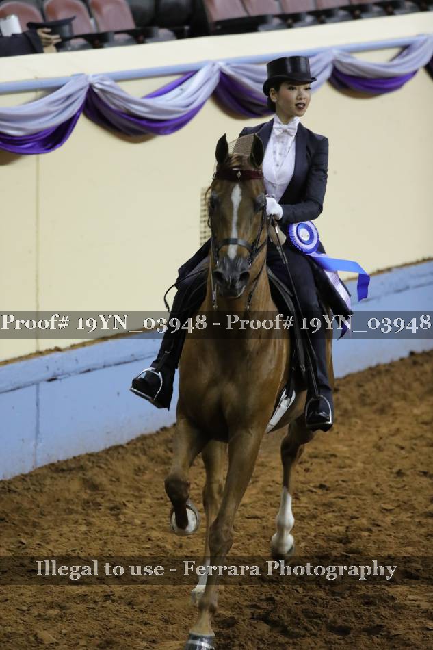 Proof 19YN_03948