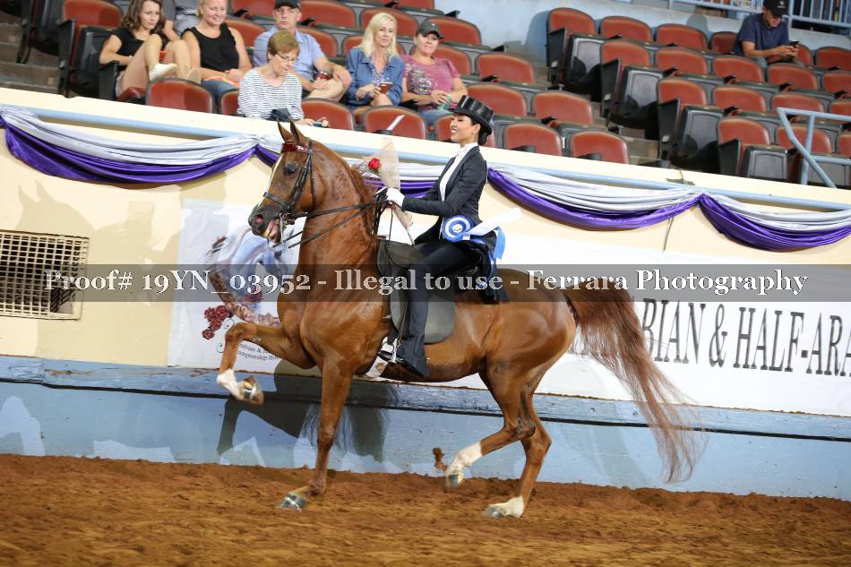 Proof 19YN_03952