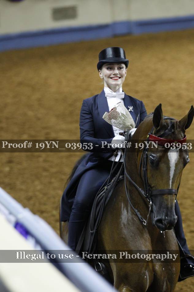 Proof 19YN_03953