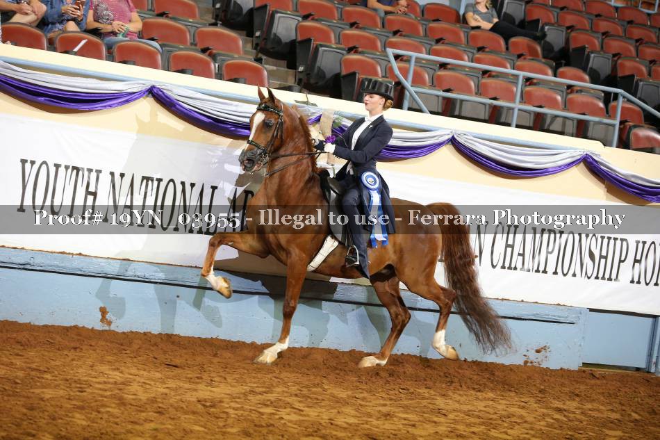 Proof 19YN_03955