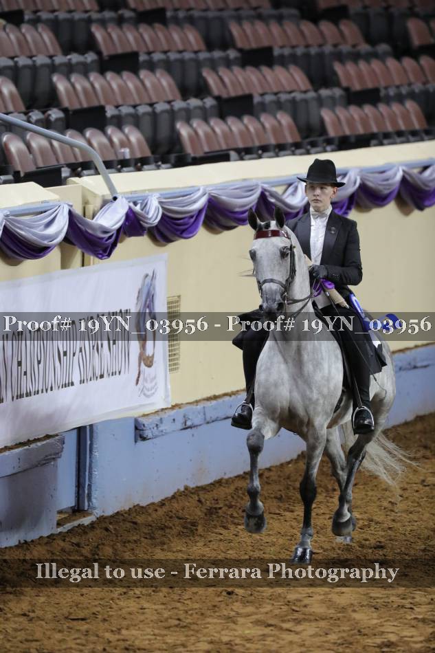 Proof 19YN_03956
