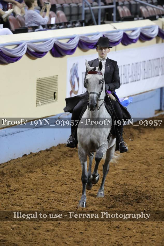 Proof 19YN_03957