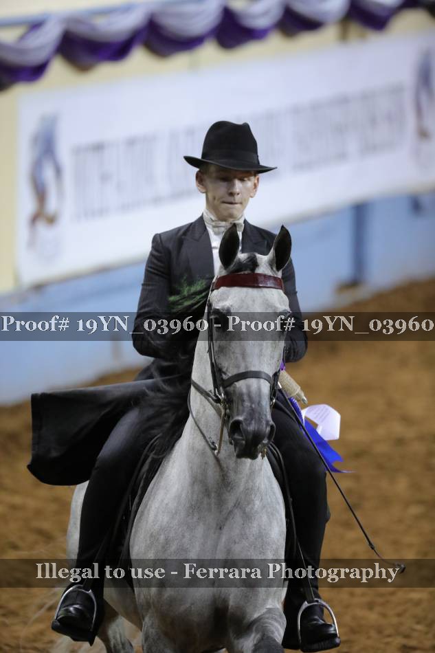Proof 19YN_03960