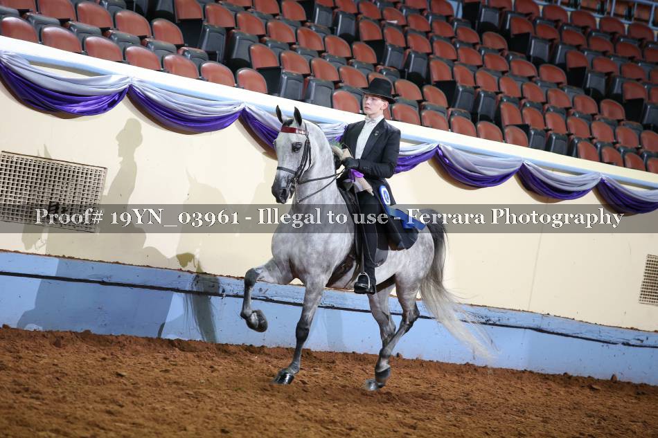 Proof 19YN_03961