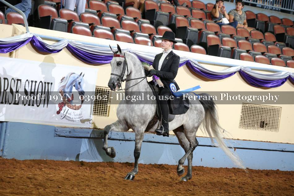 Proof 19YN_03962