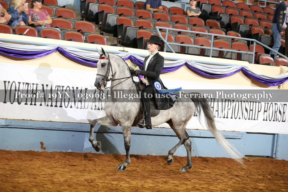 Proof 19YN_03963