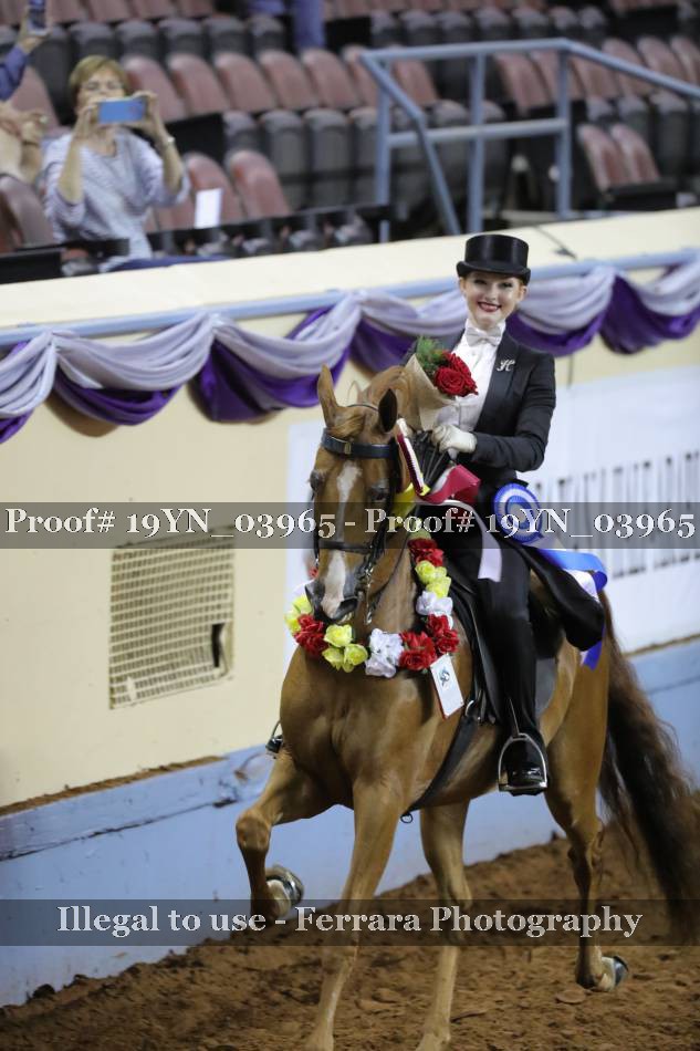 Proof 19YN_03965