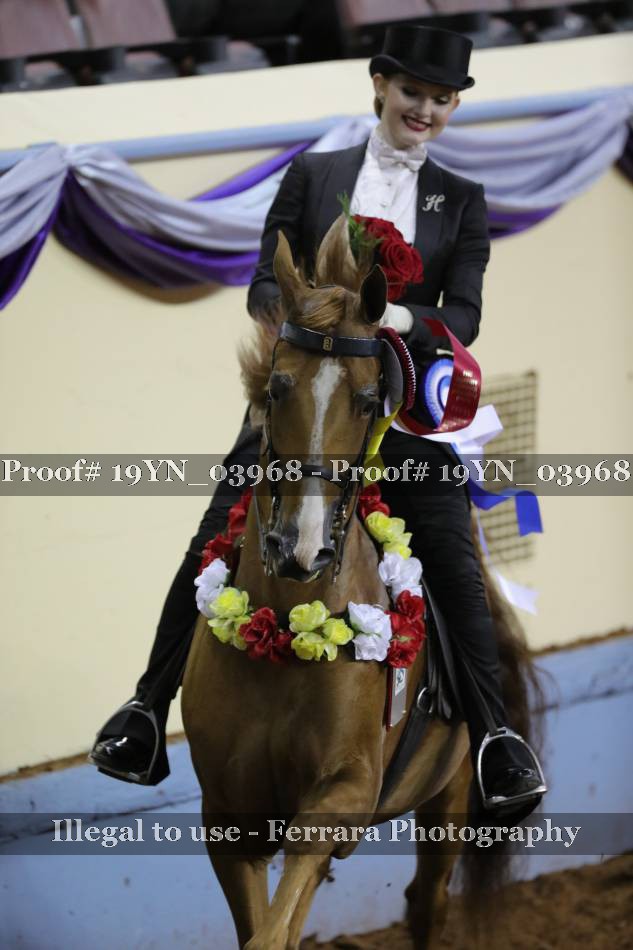 Proof 19YN_03968