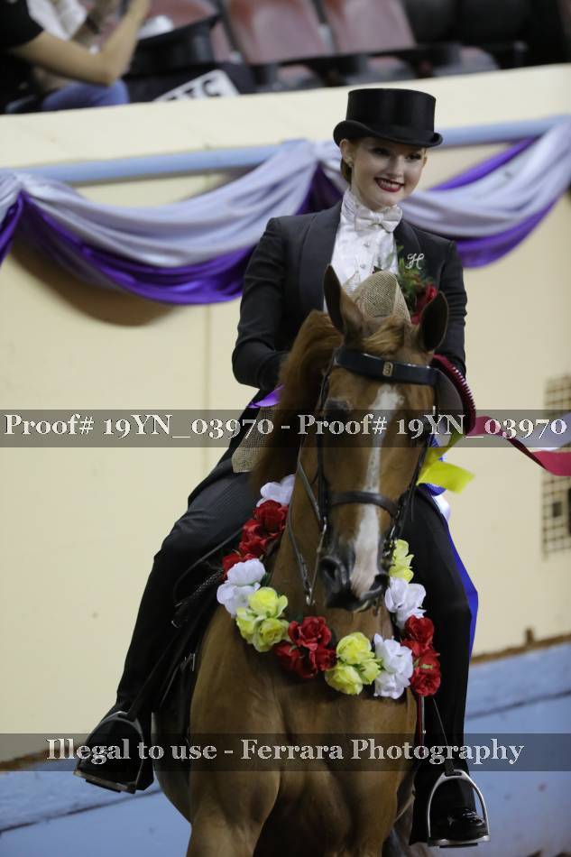 Proof 19YN_03970