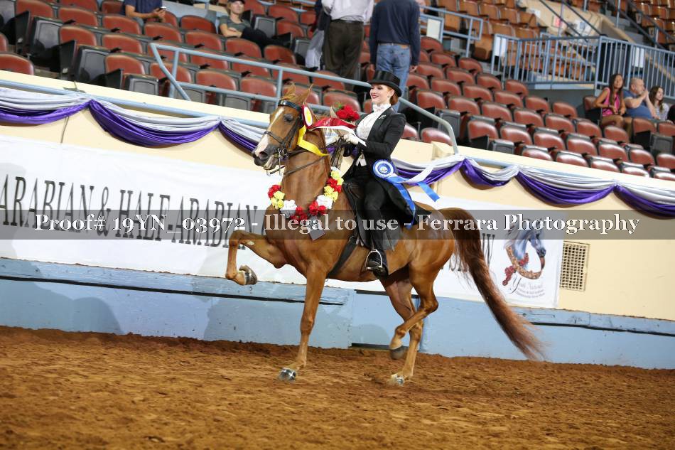 Proof 19YN_03972