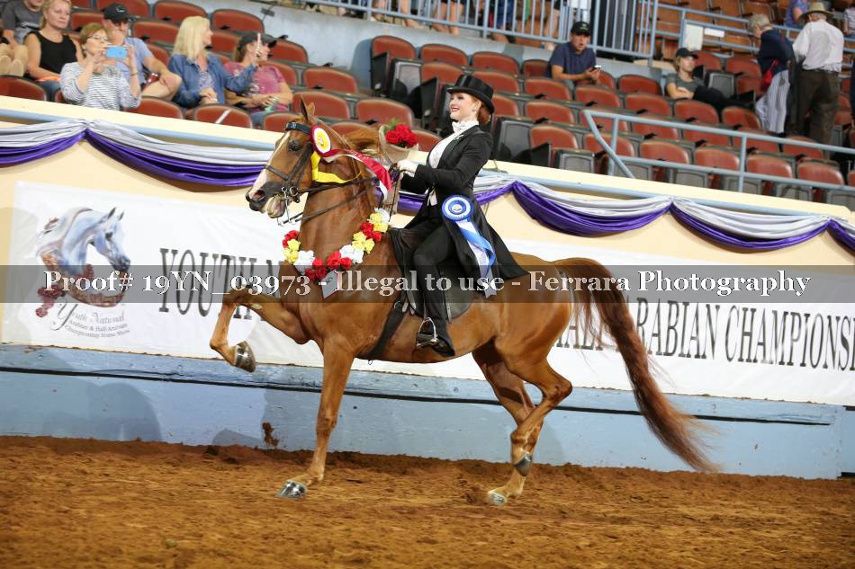 Proof 19YN_03973