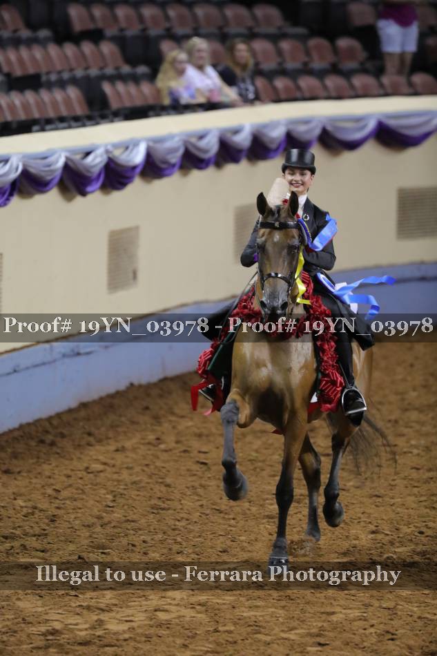 Proof 19YN_03978