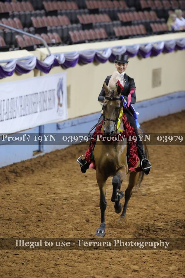 Proof 19YN_03979