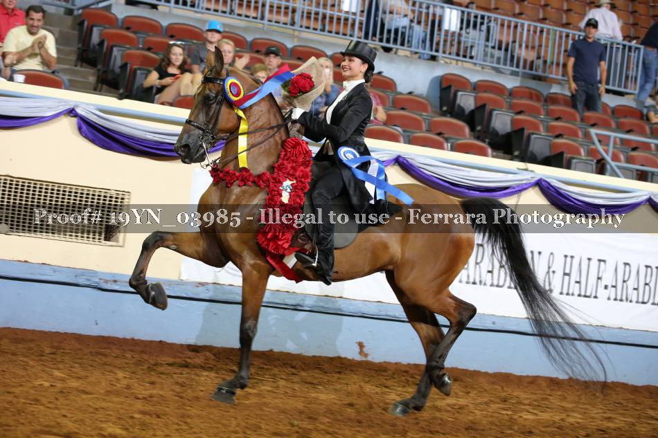 Proof 19YN_03985