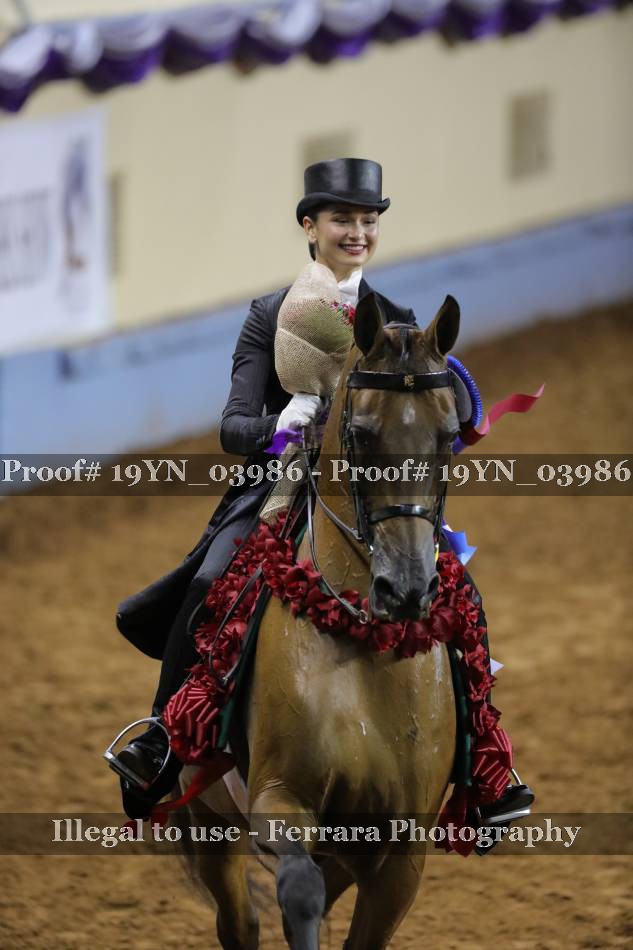 Proof 19YN_03986